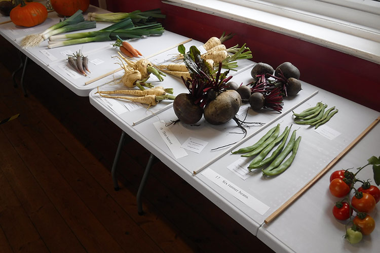 Horticultural Society Show Results